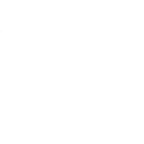 Blossom Elementary School • Livre