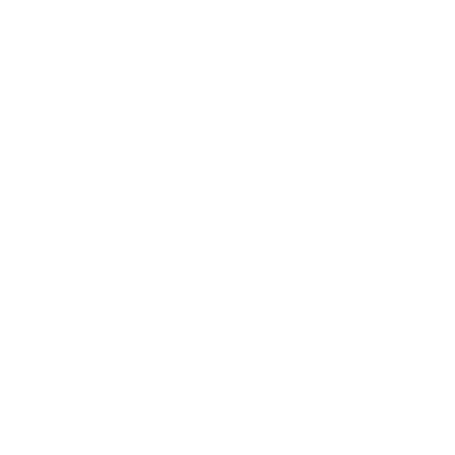 Blossom Elementary School • Intelligence