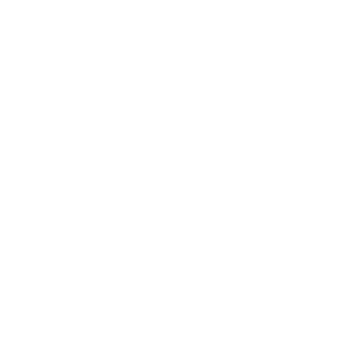 Blossom Elementary School • Groupe